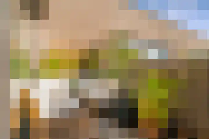 Srefidensiplein 232 Amsterdam thumbnail 26