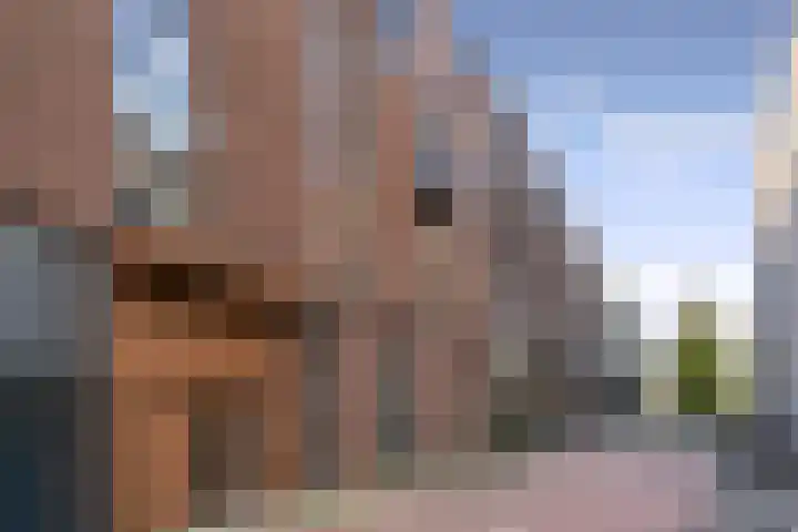 Srefidensiplein 232 Amsterdam thumbnail 32