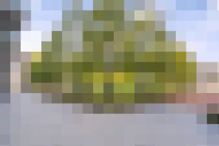 Srefidensiplein 232 Amsterdam thumbnail 33