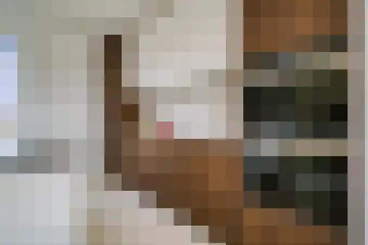 Srefidensiplein 232 Amsterdam thumbnail 4