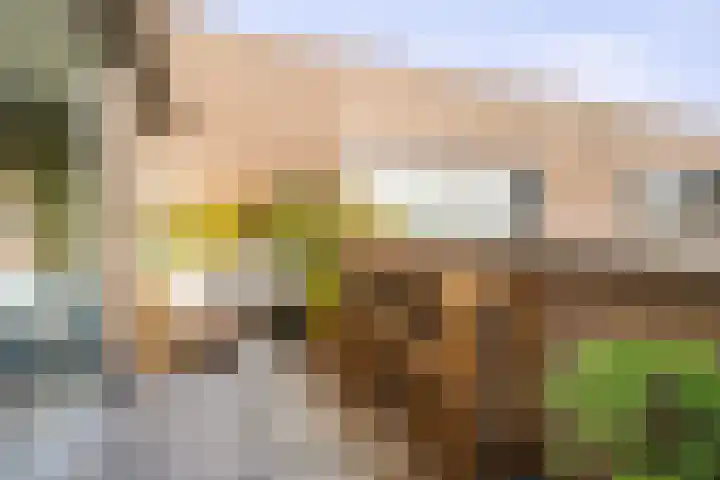 Srefidensiplein 232 Amsterdam thumbnail 5
