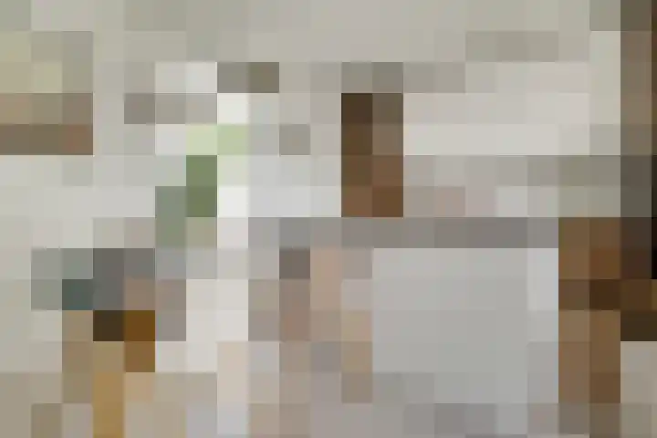 Srefidensiplein 232 Amsterdam thumbnail 9