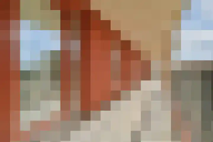 Srefidensiplein 4 Amsterdam thumbnail 7