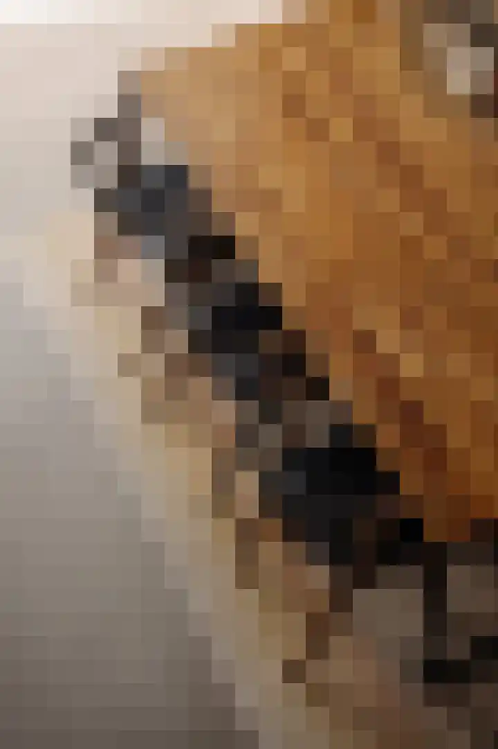 Srefidensiplein 74 Amsterdam thumbnail 12
