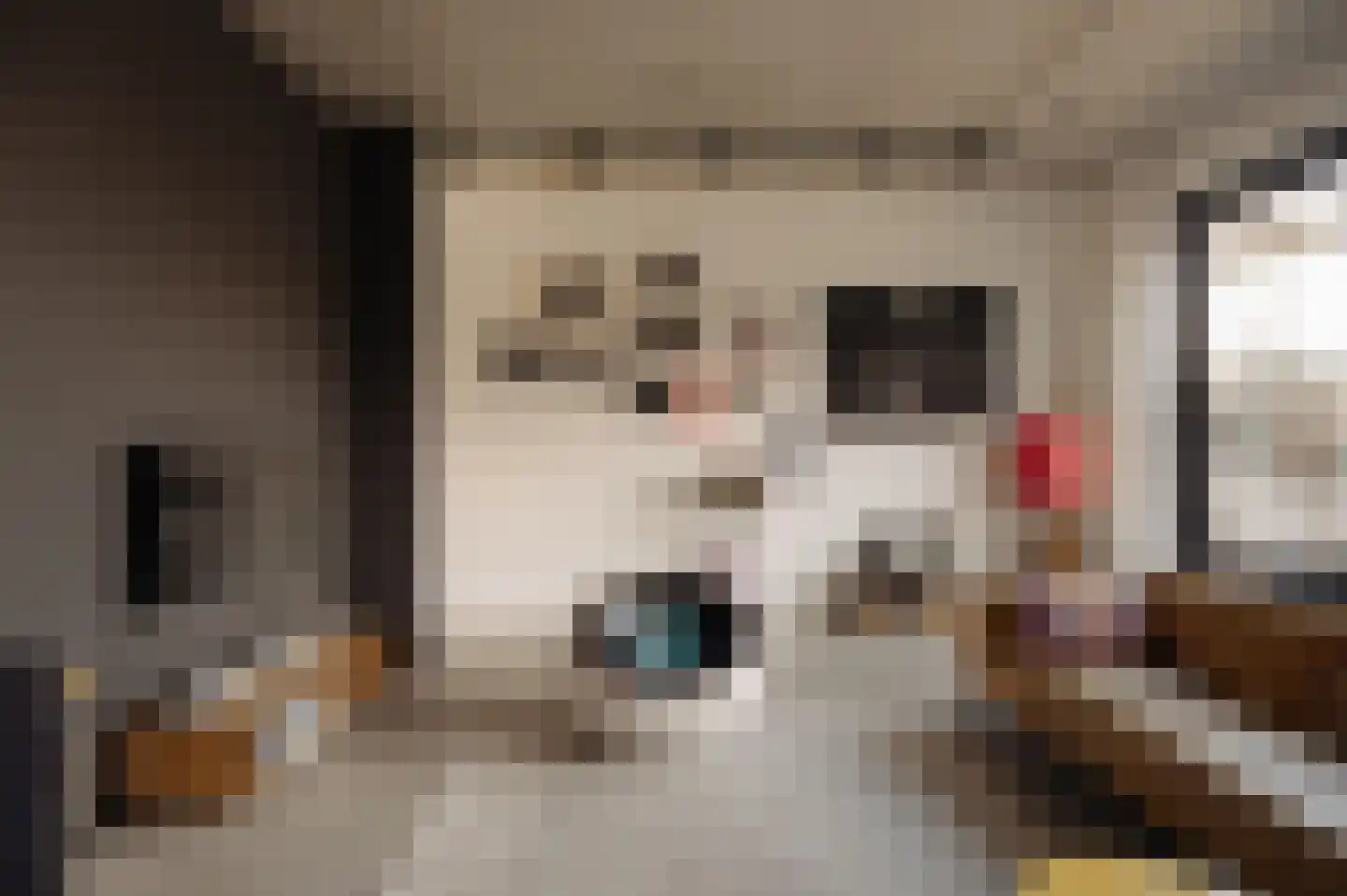Srefidensiplein 74 Amsterdam thumbnail 18