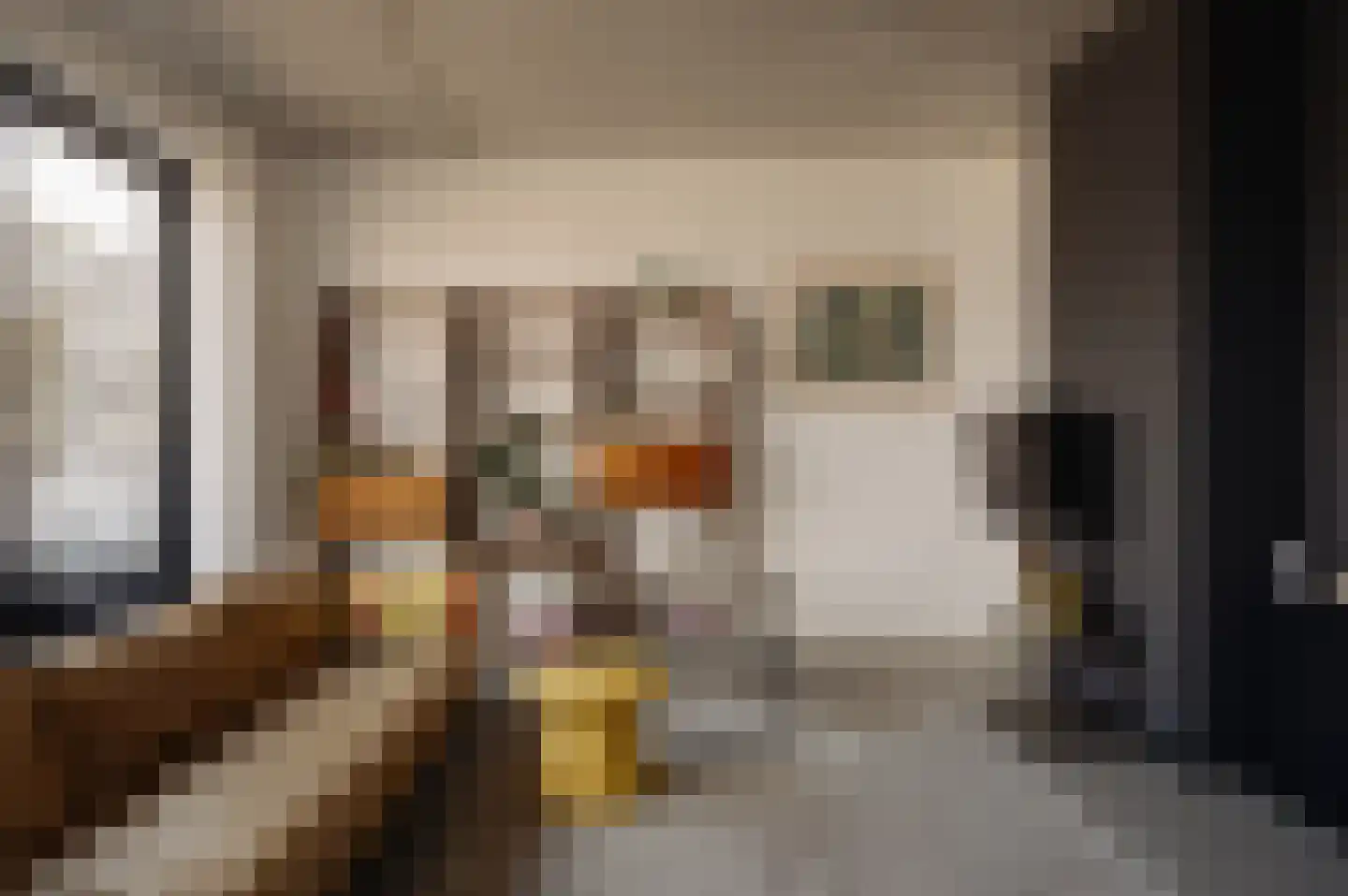 Srefidensiplein 74 Amsterdam thumbnail 20