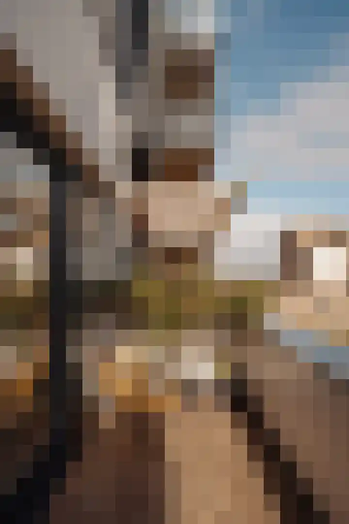 Srefidensiplein 74 Amsterdam thumbnail 21
