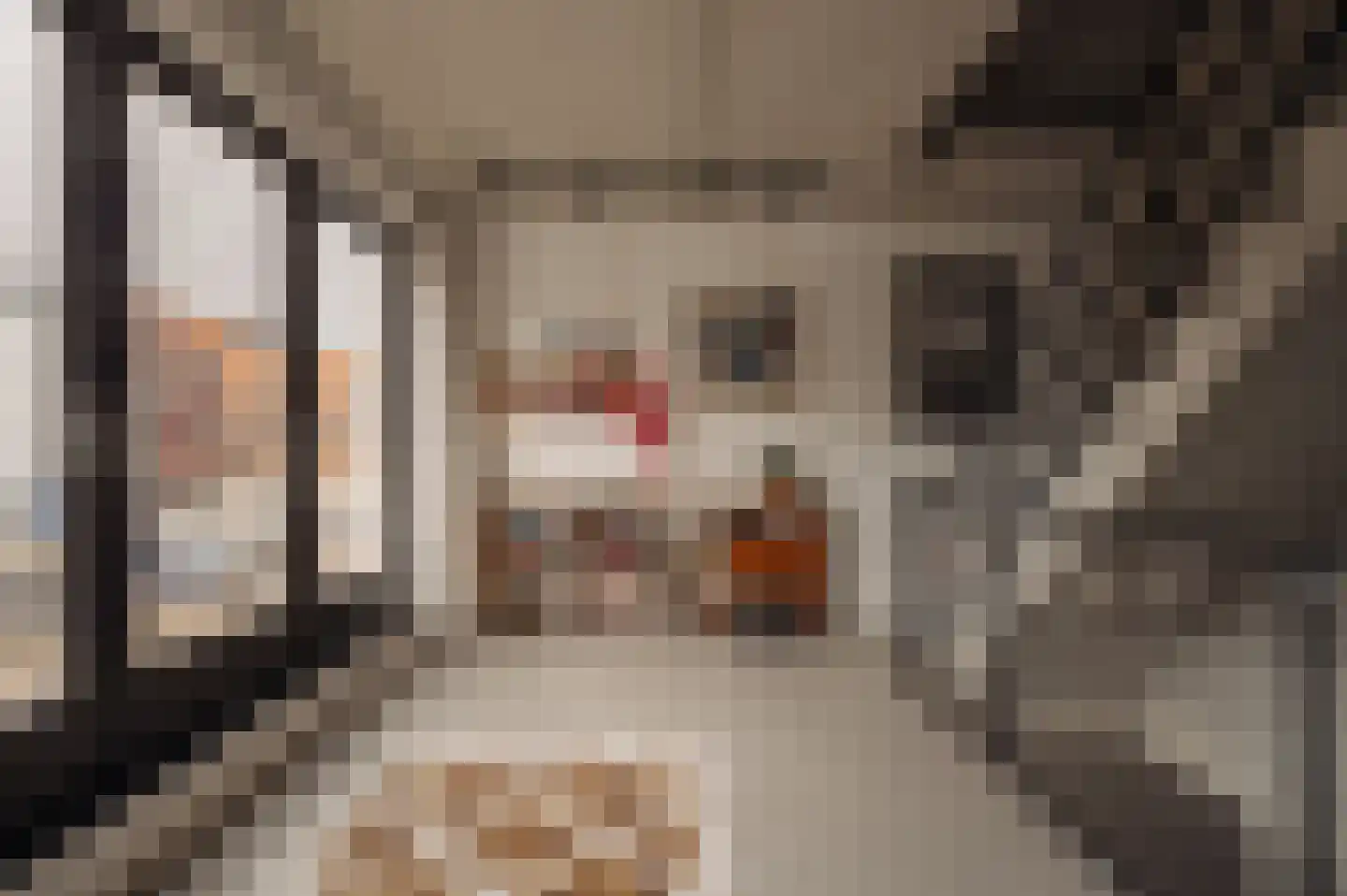 Srefidensiplein 74 Amsterdam thumbnail 23