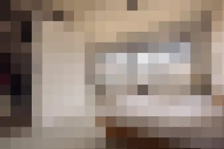 Srefidensiplein 74 Amsterdam thumbnail 26