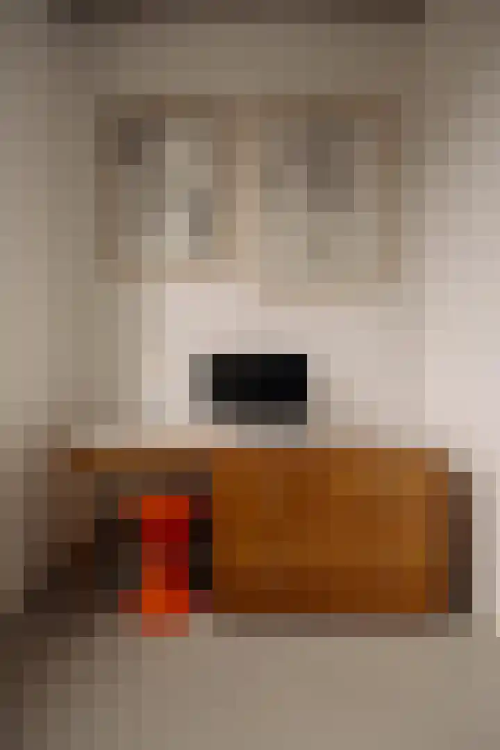 Srefidensiplein 74 Amsterdam thumbnail 32