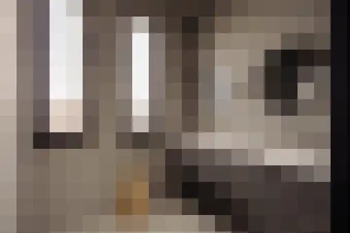 Srefidensiplein 74 Amsterdam thumbnail 34