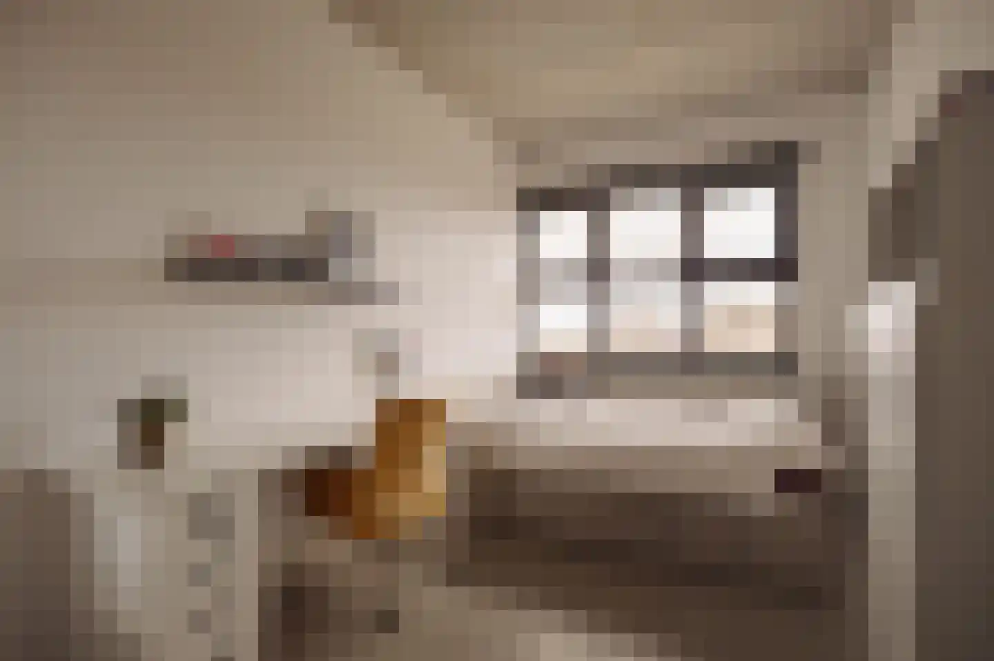 Srefidensiplein 74 Amsterdam thumbnail 38