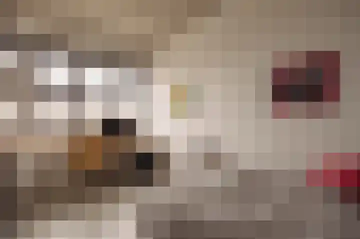 Srefidensiplein 74 Amsterdam thumbnail 40
