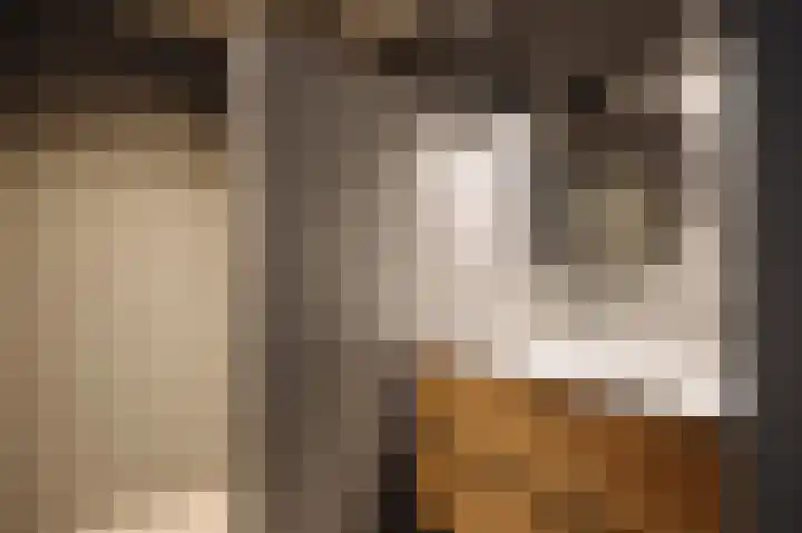 Srefidensiplein 74 Amsterdam thumbnail 49
