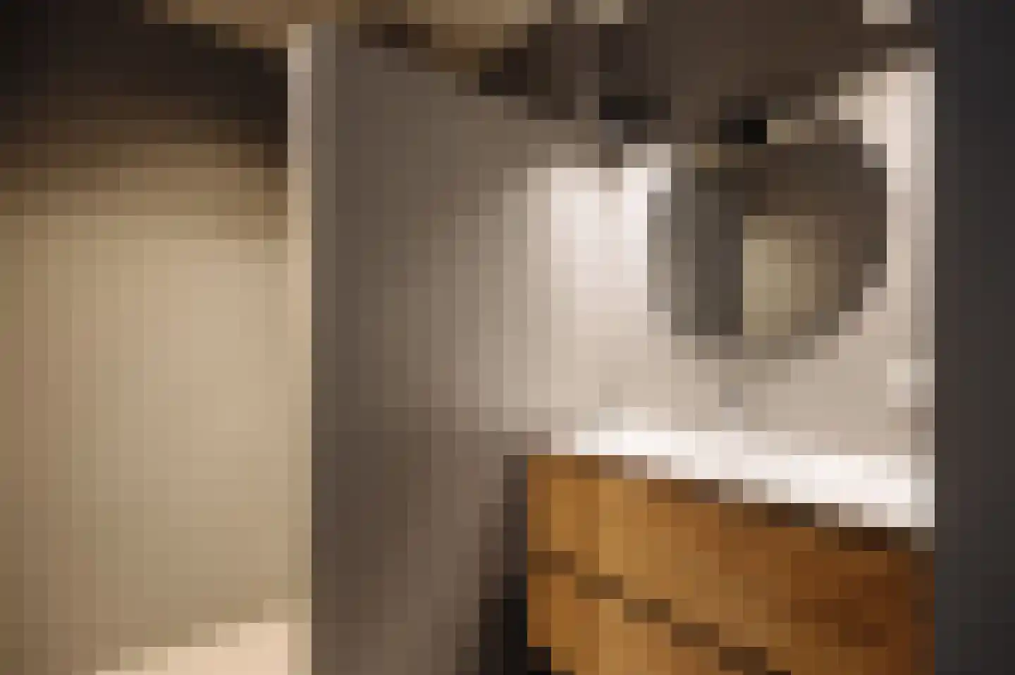 Srefidensiplein 74 Amsterdam thumbnail 49