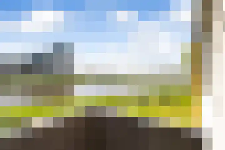 Srefidensiplein 74 Amsterdam thumbnail 53