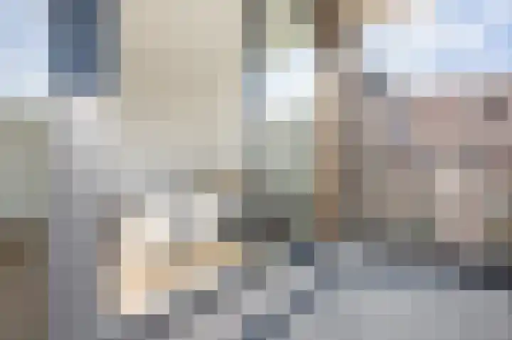 Srefidensiplein 76 A Amsterdam thumbnail 20