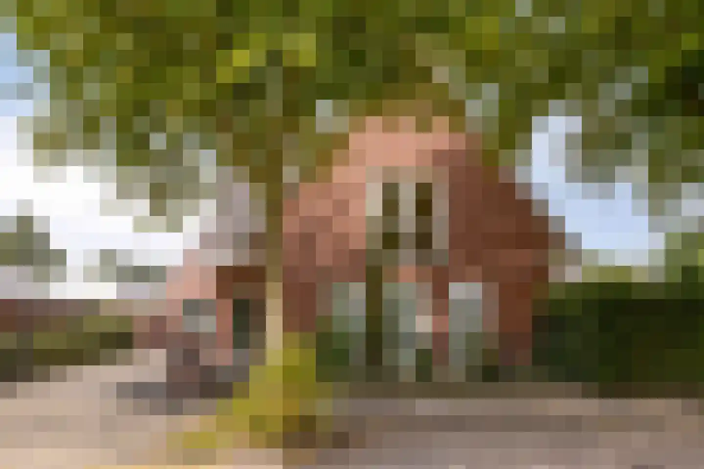 Srefidensiplein 76 A Amsterdam thumbnail 47