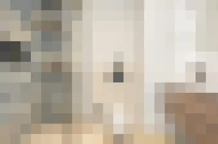 Srefidensiplein 76 A Amsterdam thumbnail 5