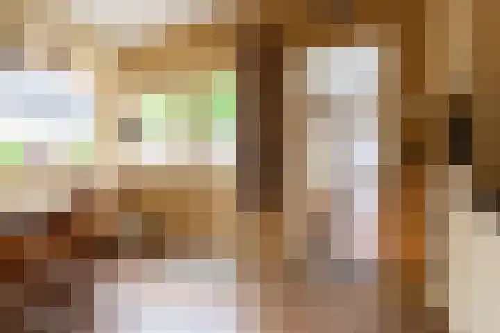 Srefidensiplein 76 A Amsterdam thumbnail 65