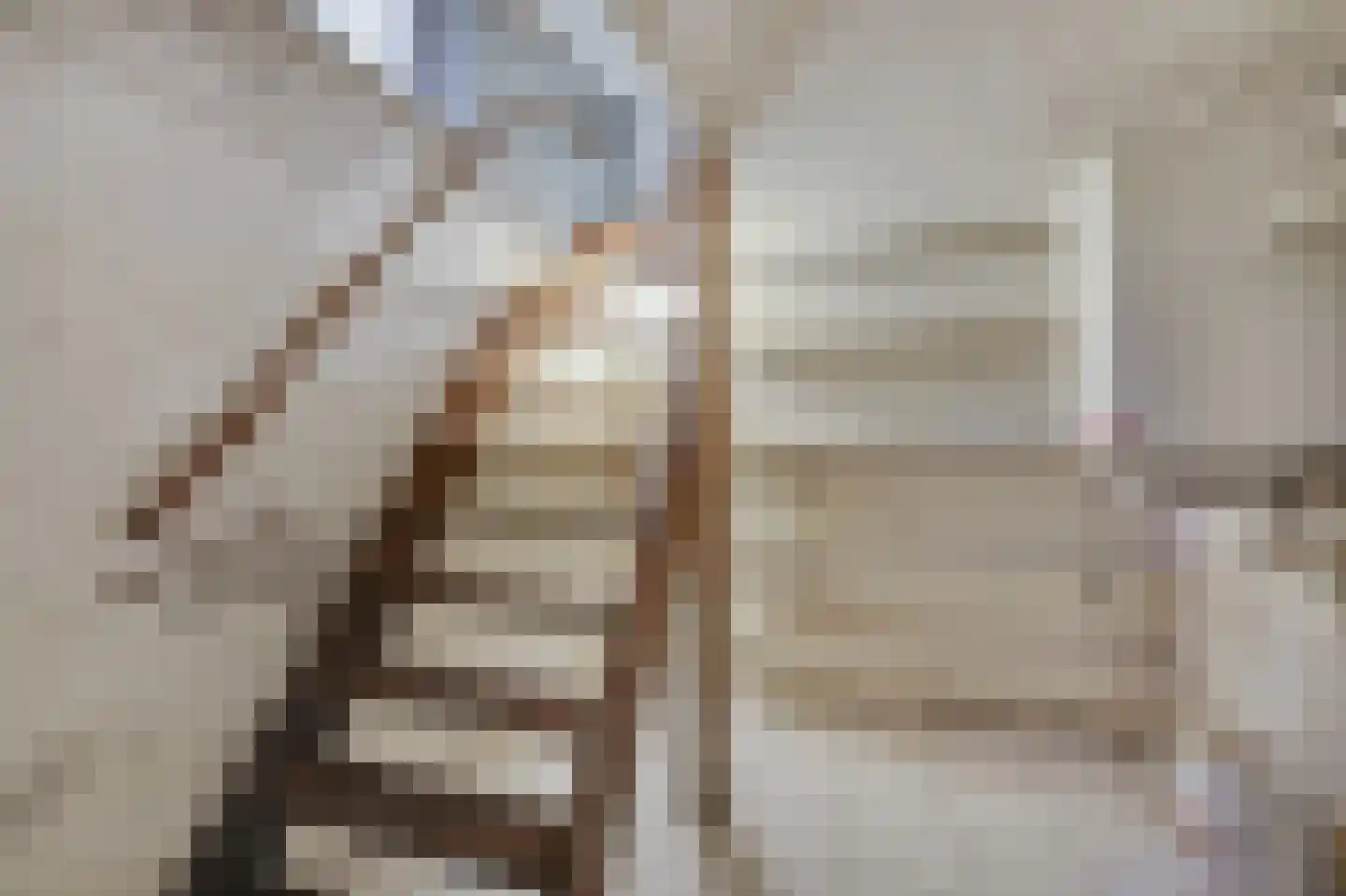 St. Adelbertstraat 4 Mook thumbnail 12