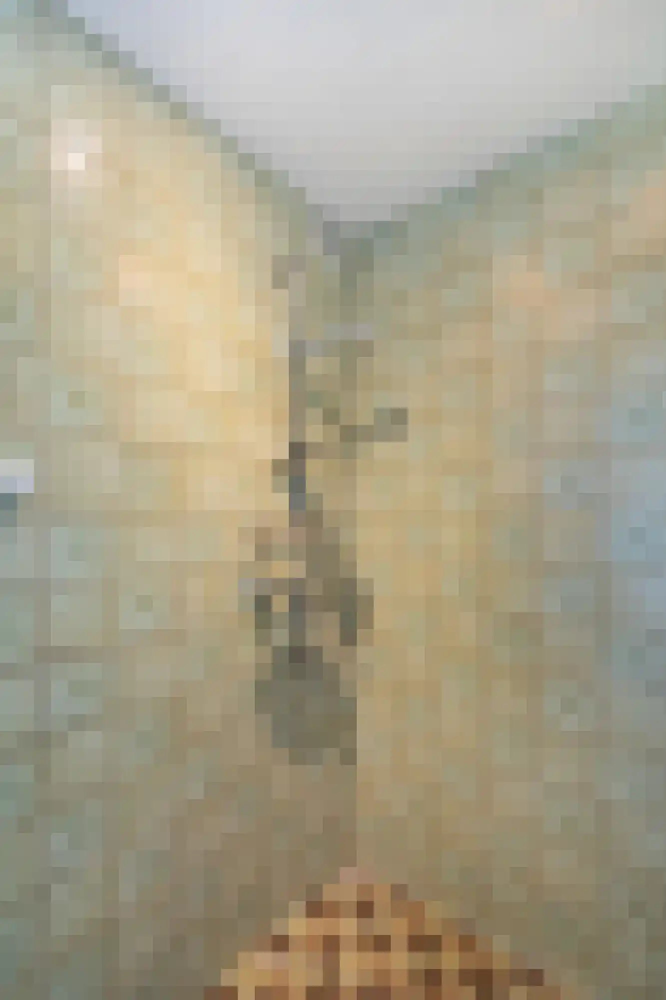 St. Adelbertstraat 4 Mook thumbnail 20