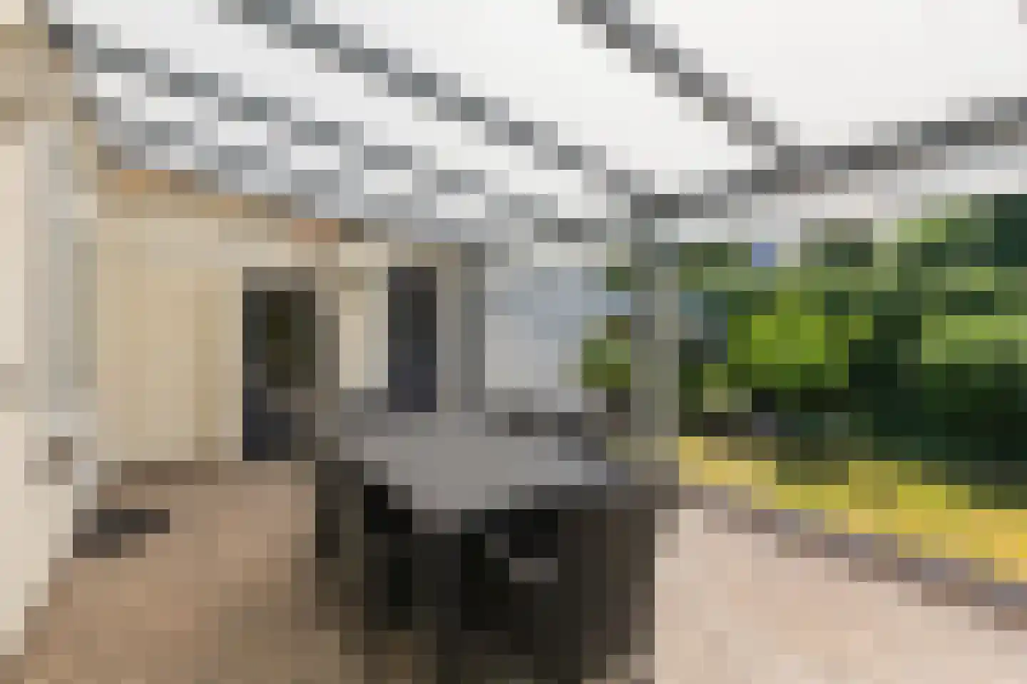St. Adelbertstraat 4 Mook thumbnail 28