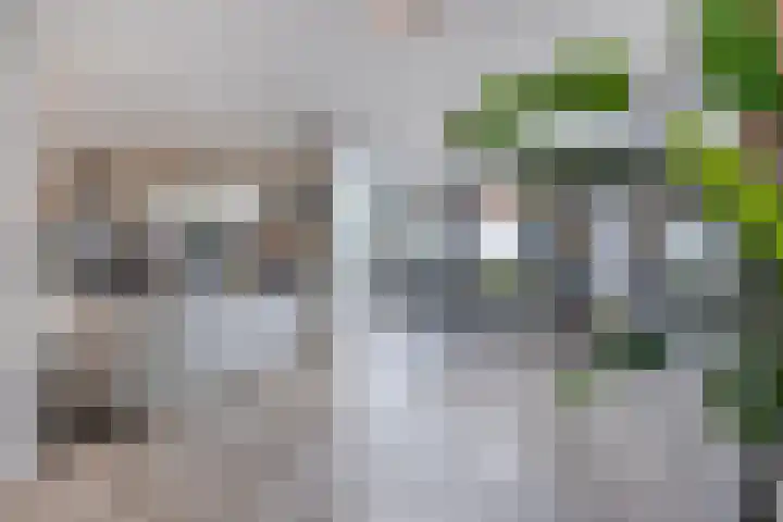 St Adelbertuslaan 1 Eindhoven thumbnail 13