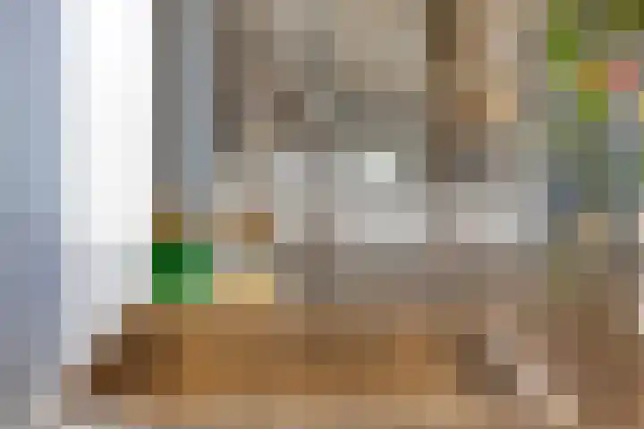 St Adelbertuslaan 1 Eindhoven thumbnail 16
