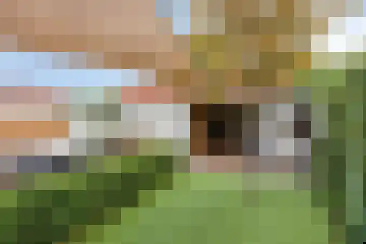 St Adelbertuslaan 1 Eindhoven thumbnail 30