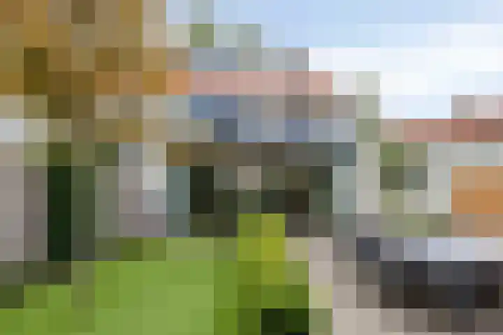 St Adelbertuslaan 1 Eindhoven thumbnail 32