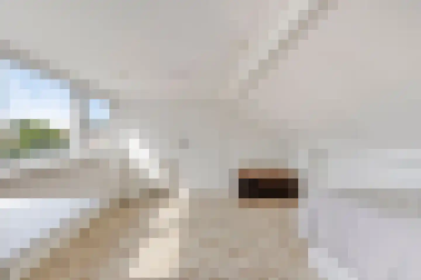 St Adelbertuslaan 24 Eindhoven thumbnail 46