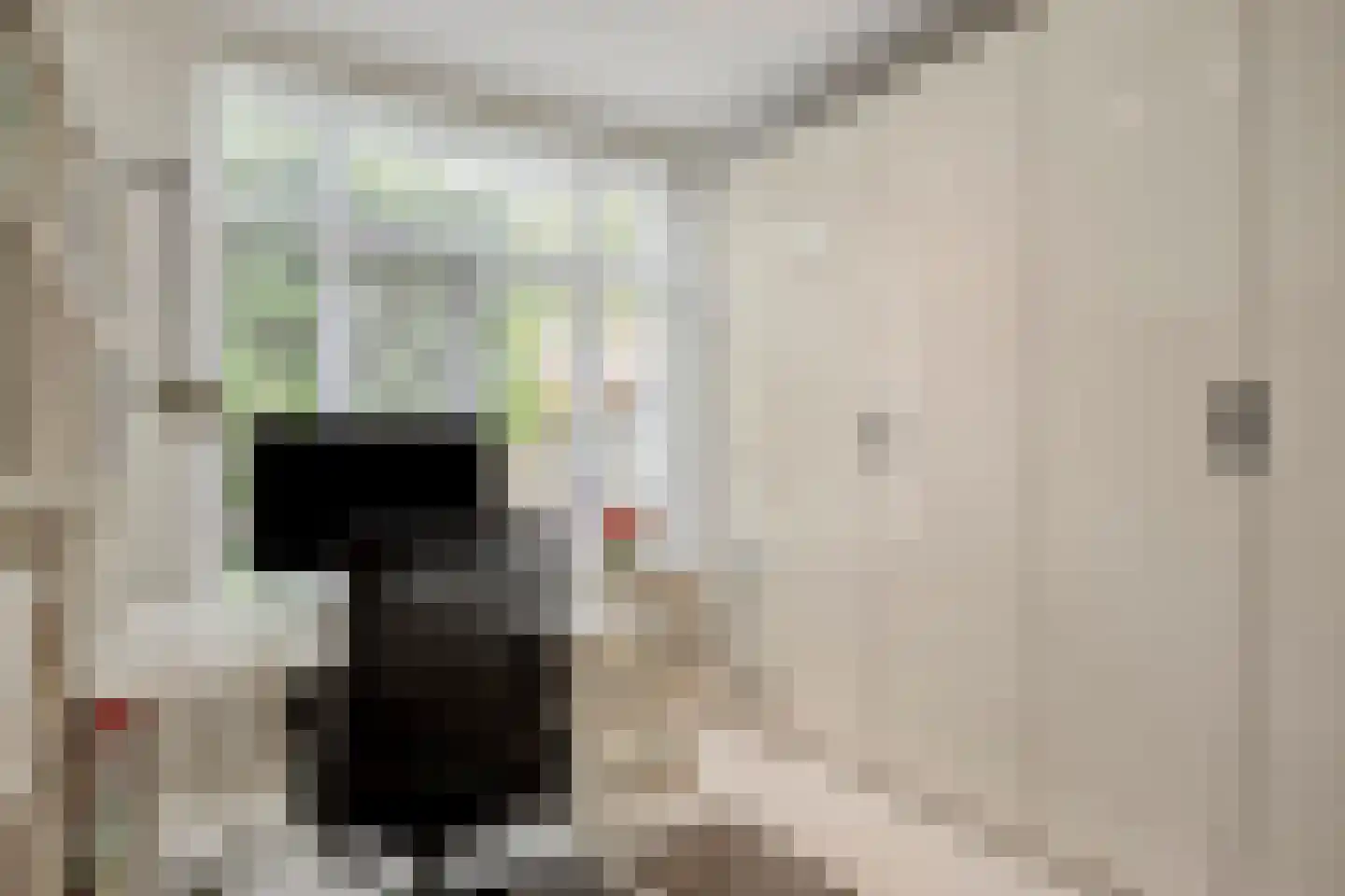 St Adrianusstraat 3 Eindhoven thumbnail 40