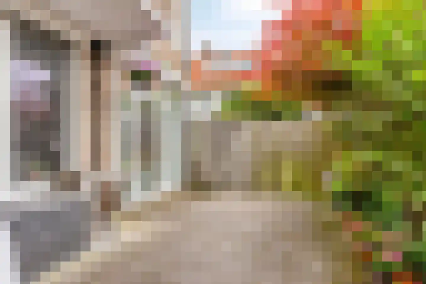 St Adrianusstraat 3 Eindhoven thumbnail 46