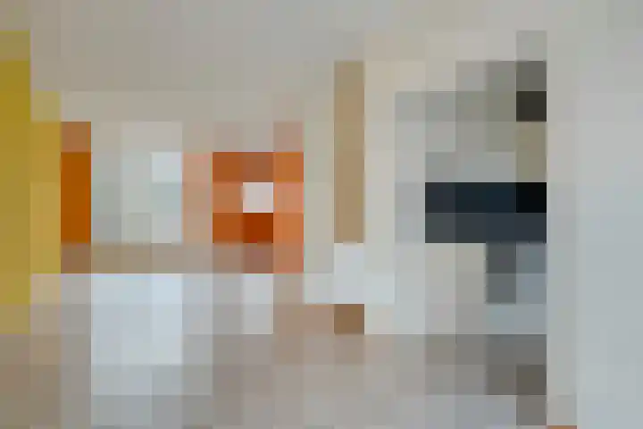 St Adrianusstraat 33 Eindhoven thumbnail 8