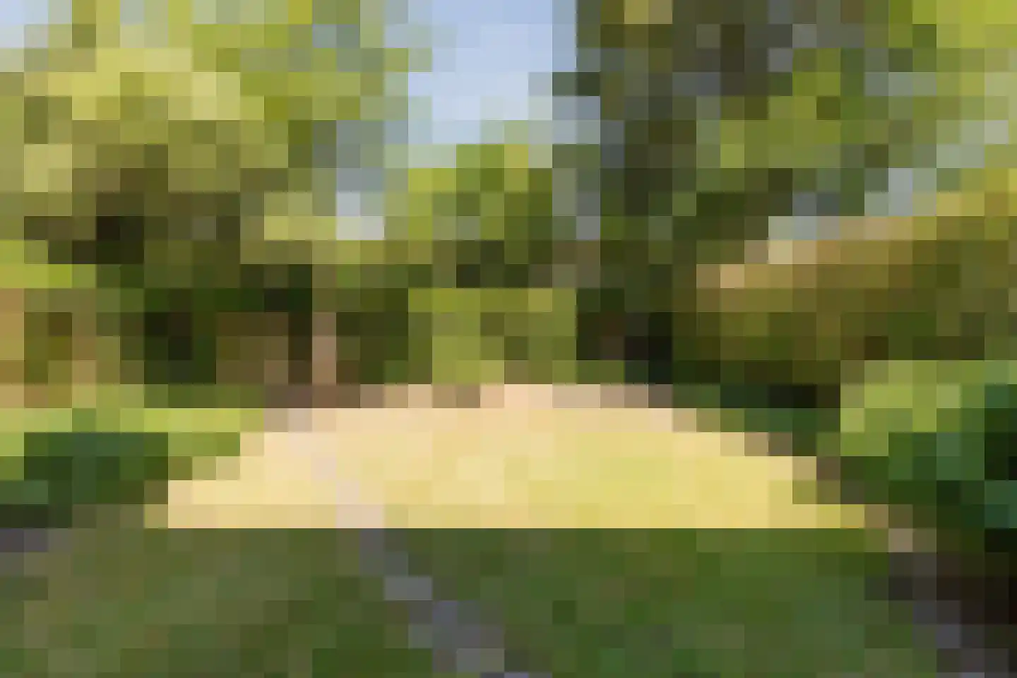 St Adrianusstraat 69 Eindhoven thumbnail 26