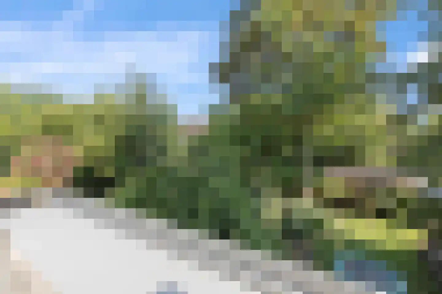 St Adrianusstraat 77 Eindhoven thumbnail 24