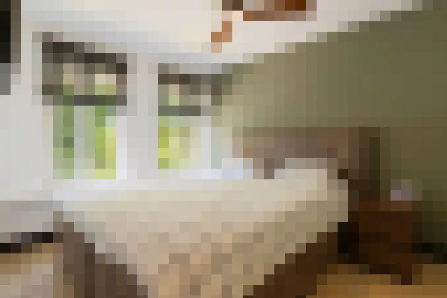 St Adrianusstraat 77 Eindhoven thumbnail 27