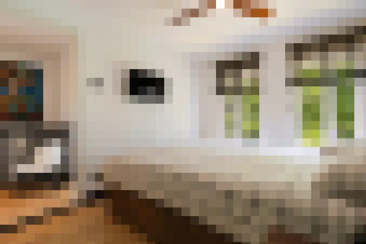 St Adrianusstraat 77 Eindhoven thumbnail 28