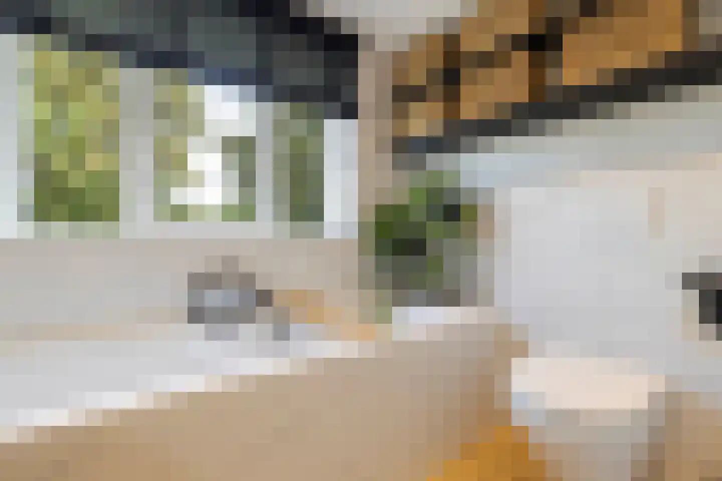 St Adrianusstraat 77 Eindhoven thumbnail 35
