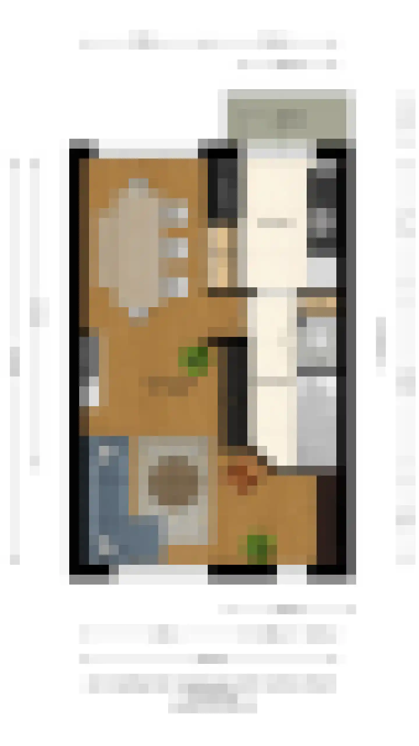 St Adrianusstraat 77 Eindhoven thumbnail 46
