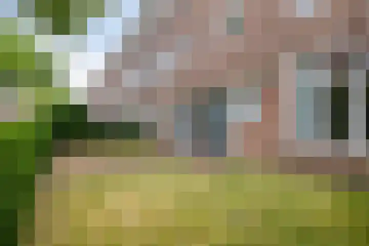 St Adrianusstraat 8 Eindhoven thumbnail 5