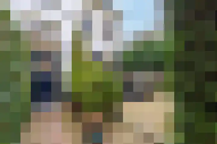 St. Agnietenstraat 15 Tiel thumbnail 12