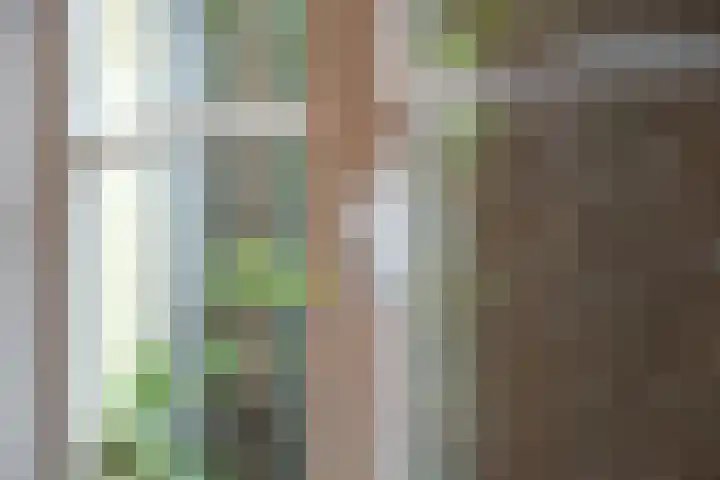 St. Agnietenstraat 15 Tiel thumbnail 32