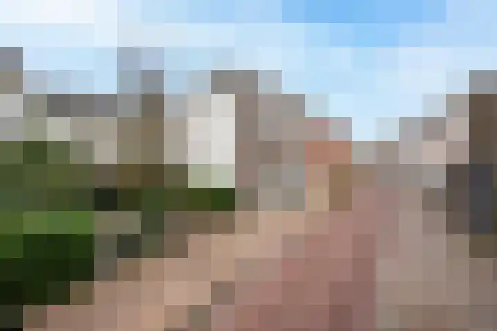 St. Agnietenstraat 15 Tiel thumbnail 5