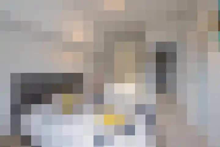 St. Agnietenstraat 15 Tiel thumbnail 71