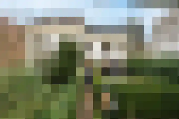 St. Agnietenstraat 15 Tiel thumbnail 9