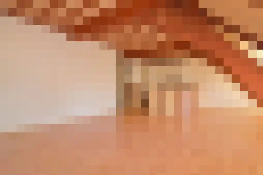 St. Agnietenstraat 19 b Tiel thumbnail 8
