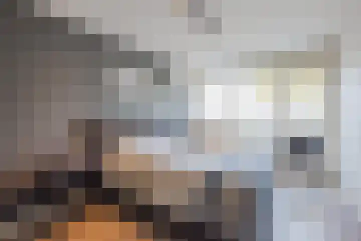 St. Amandusstraat 6 Geertruidenberg thumbnail 4