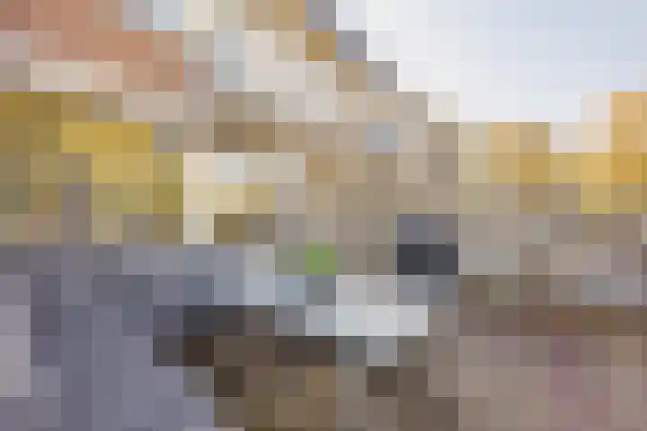 St. Amandusstraat 6 Geertruidenberg thumbnail 5